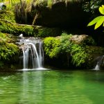 Piscine Naturelle - Isalo