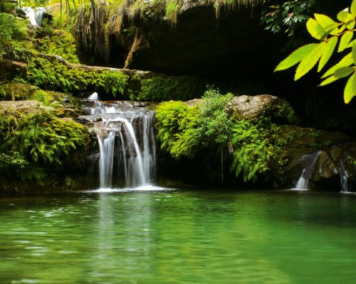 Piscine Naturelle - Isalo